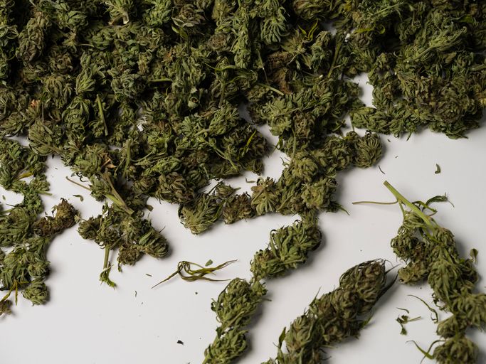 The Most Sweeping Bill To Decriminalize Marijuana Is A Racial And Social Justice Issue