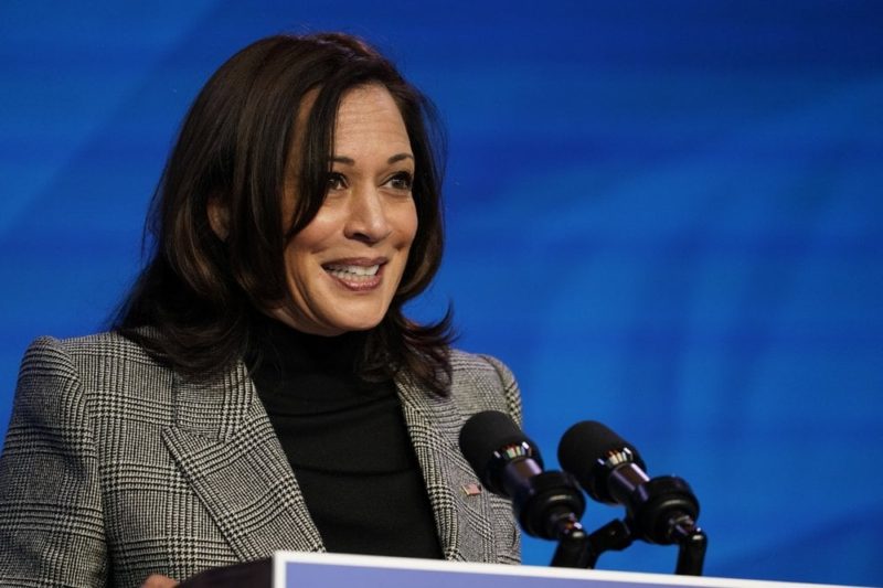 Protecting Madam Vice President Kamala Harris, a national treasure, at all costs