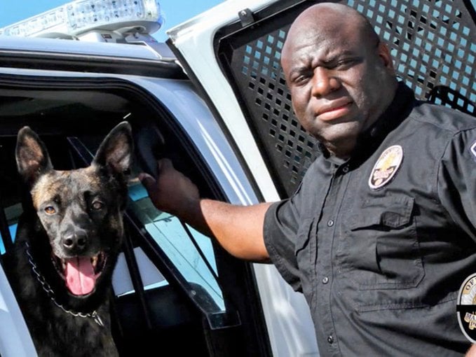 Arizona officer suspended after police dog dies in patrol car