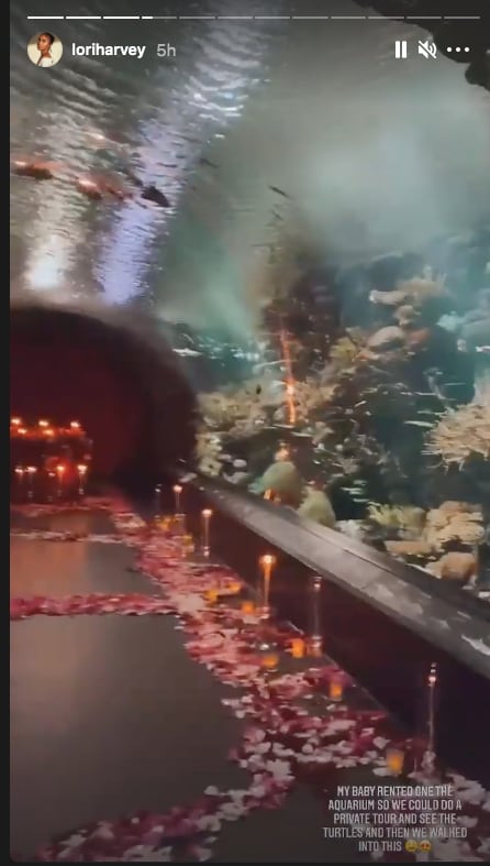 Michael B. Jordan rents out an aquarium for Lori Harvey on Valentine’s Day