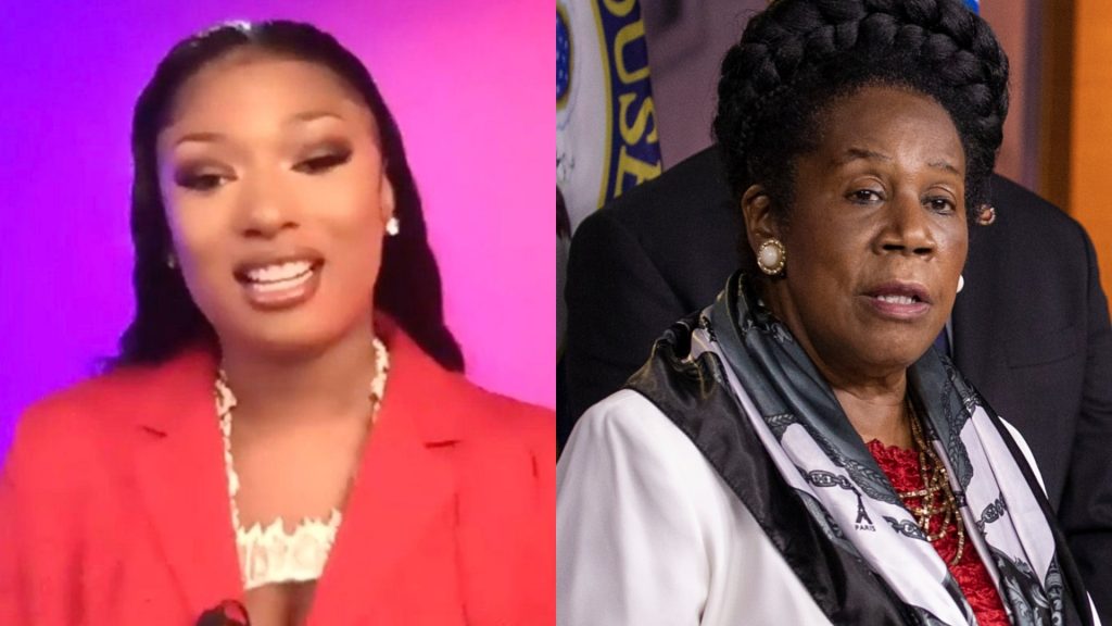 Megan Thee Stallion, Rep. Lee to provide housing to Houston after freeze