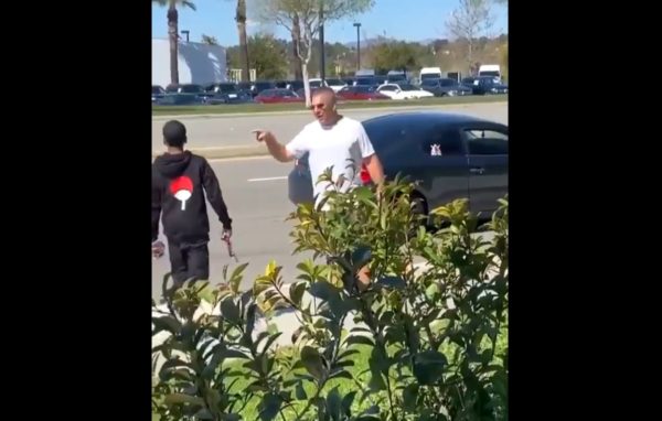 ‘Go Back to Your Cage’: 370 Cases Under Review After Retired LAPD Cop Seen on Video Hurling Racial Slurs at Black Man