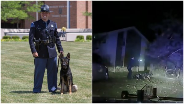 ‘I Don’t Care’: Michigan Trooper Facing Felony Charge After Using Police Dog to Restrain Black Man for Nearly Four Minutes Despite His Pleas
