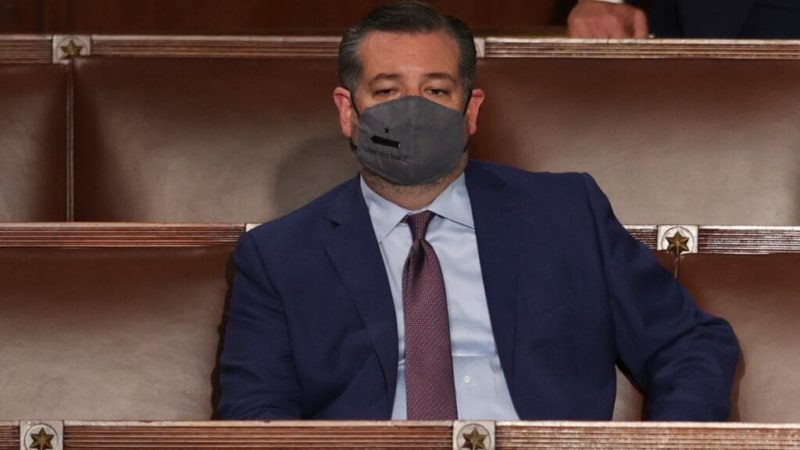 Ted Cruz seemingly asleep during Biden address draws online mockery