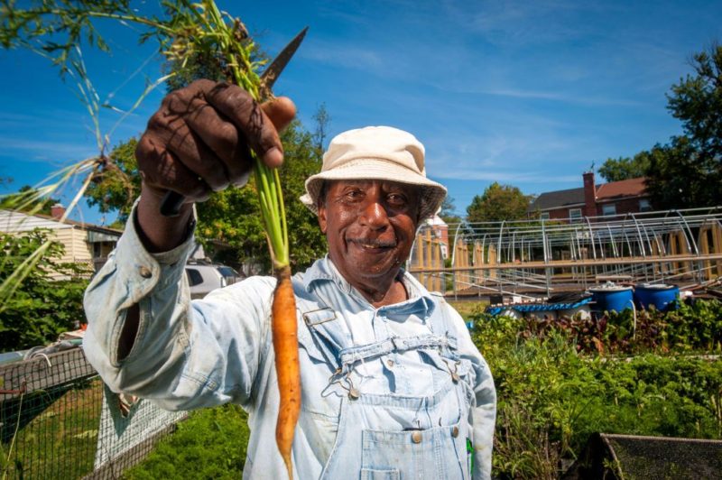 Conservatives Launch Lawsuits Attacking Historic Government Aid For Black Farmers