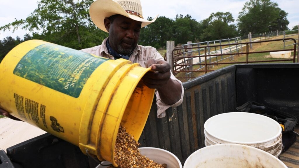 USDA begins loan payments for Black and minority farmers