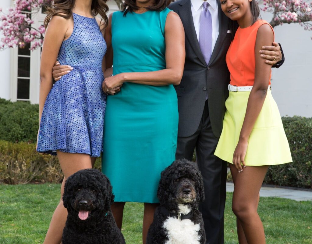 Obama family dog, Bo, has died: ‘We said goodbye to our best friend’