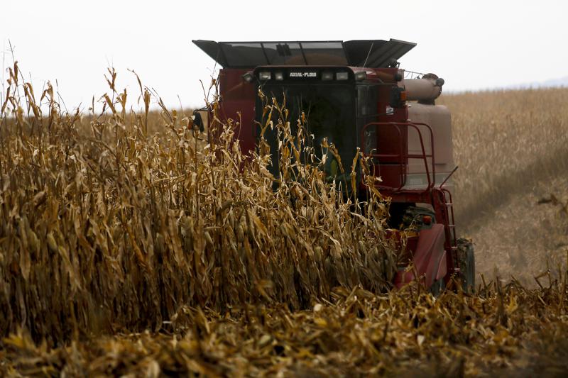 Judge pauses loan forgiveness program for farmers of color