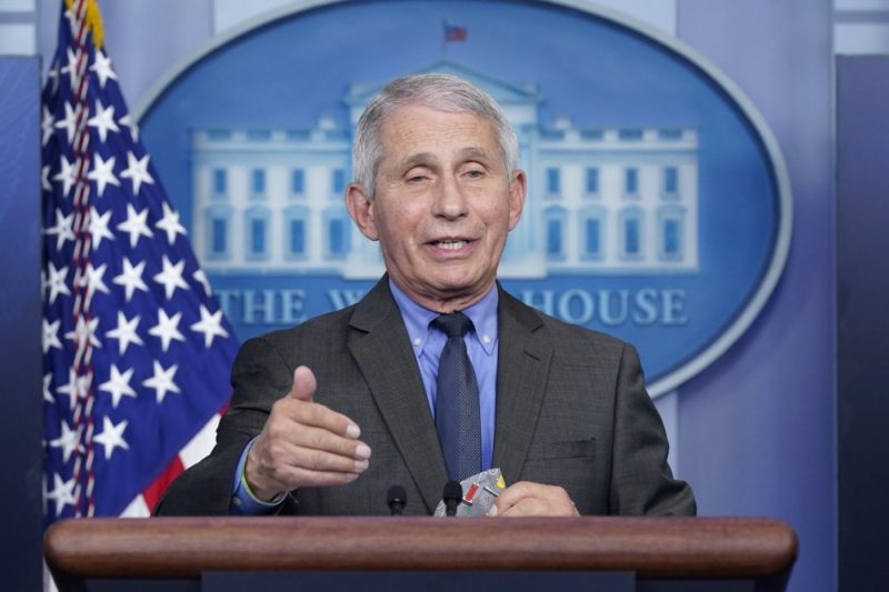 Fauci accuses Rand Paul of lying in heated discussion at Senate hearing