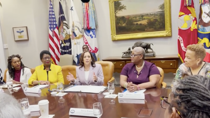 Vice President Harris hosts Black women voting rights activists after arrests