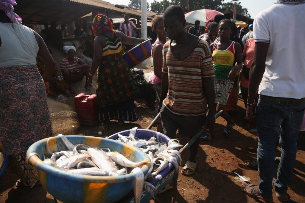 Ebola case reported in Ivory Coast after Guinea outbreak