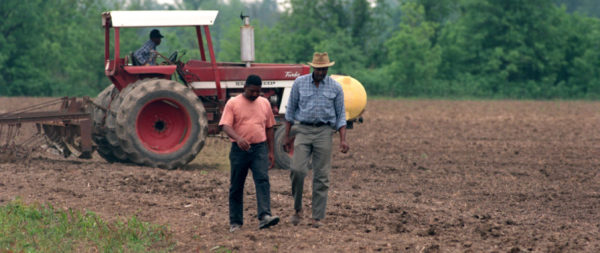 ‘Conscious and Deliberate’: Black Workers Say Mississippi Farm Imported White South Africans to Replace Them at Higher Wages for the Same Work