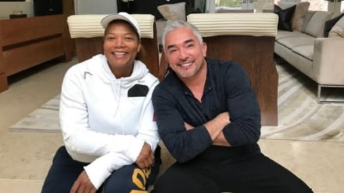 Dog trainer Cesar Millan’s pit bull killed Queen Latifah’s dog, tried to cover it up: lawsuit