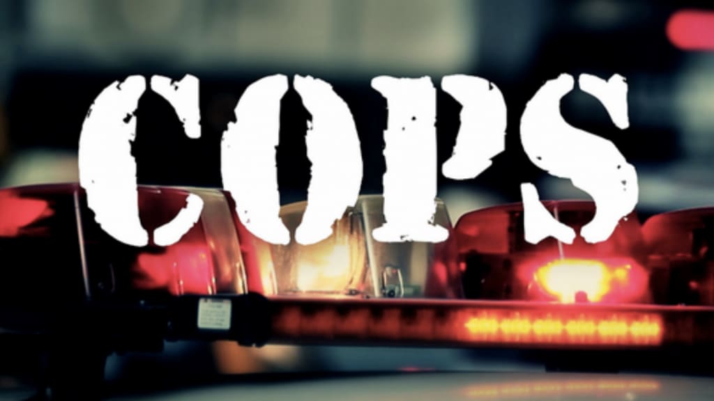 Fox to bring back ‘Cops’ following cancellation amid Floyd protests