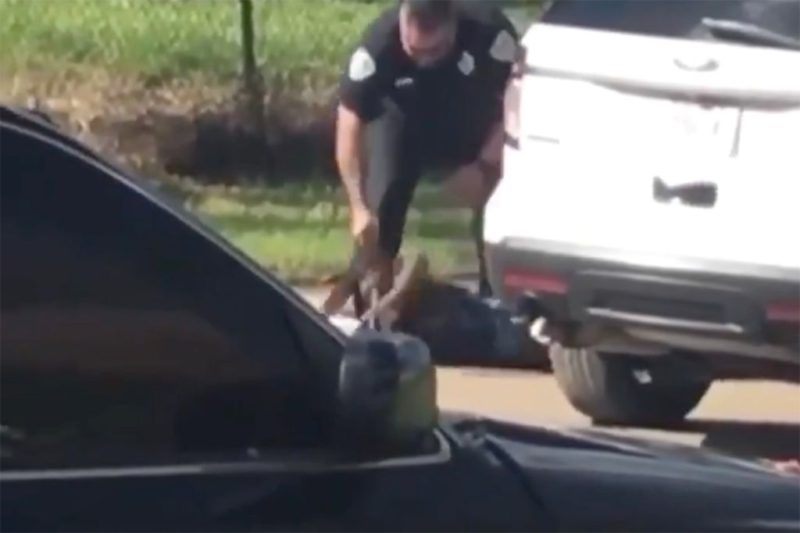 Louisiana Cop Rips Out Black Woman’s Braids In Brutal Attack Caught On Video Recorded Minutes After 3 Boys Jumped Her