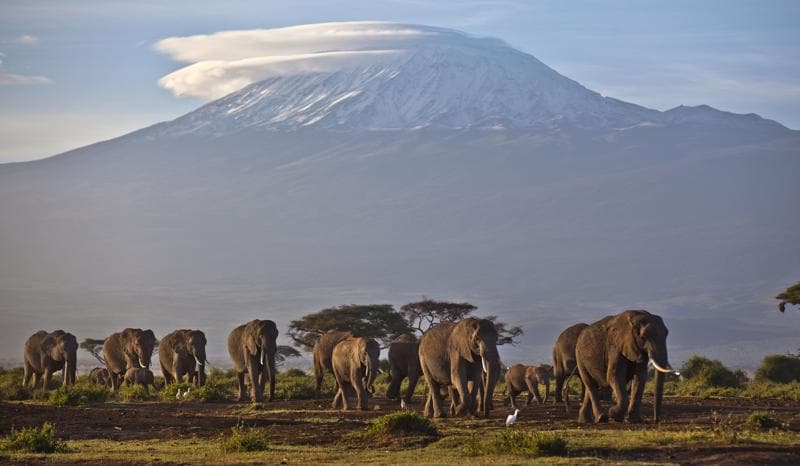 Africa’s rare glaciers soon to disappear, climate report says