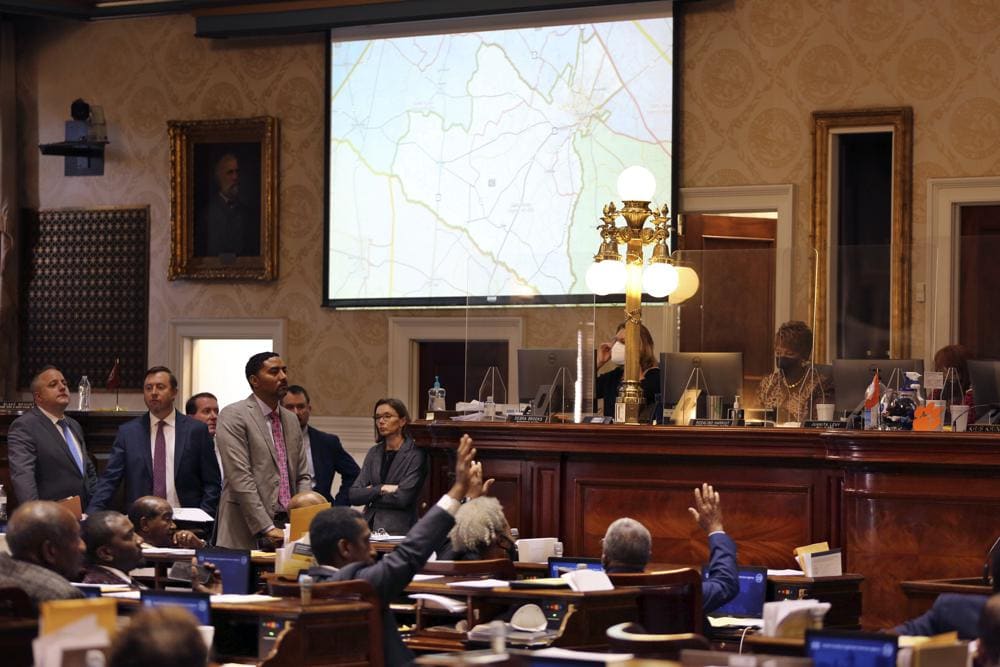 South Carolina sued over newly drawn state House districts