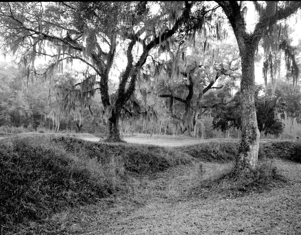 Florida’s Legacy Of Free Blacks Pre Civil War