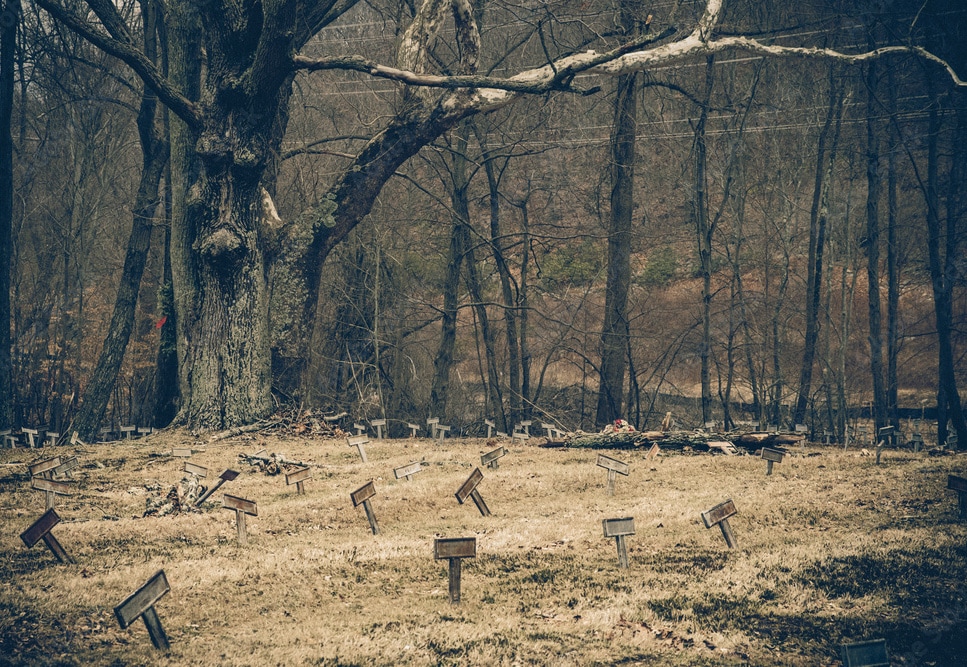 Researchers set out to find identities, unearth graves of convict laborers in Tennessee