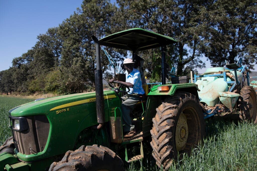 Airbnb partners with Black farmers to bring economic opportunities to local tourism