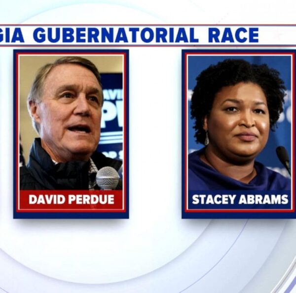 Republican Gubernatorial Candidate David Perdue Says Stacey Abrams Is ‘Demeaning Her Own Race’ In Futile Final Attempt to Sway GOP Voters; Van Jones Fires Back: ‘He’s Lying’