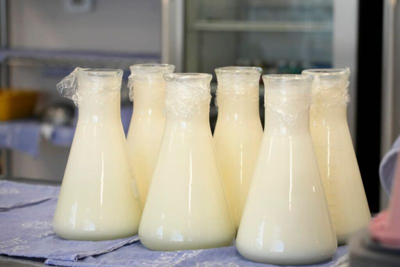 Breast milk banks see spike in calls – from donors and the desperate who can’t find formula