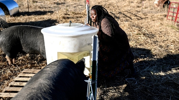 Black farmers lost $326 billion worth of land in 20th century, study finds