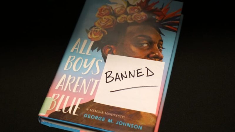 Pride Month, Black History book displays banned in public library. Director wants to avoid conflict, he says