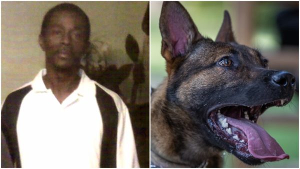Could ‘Jeopardize Police Safety’: Alabama Judge Blocks Release of Video Showing Police K-9 Mauling a 51-Year-Old to Death After a False Burglary Call