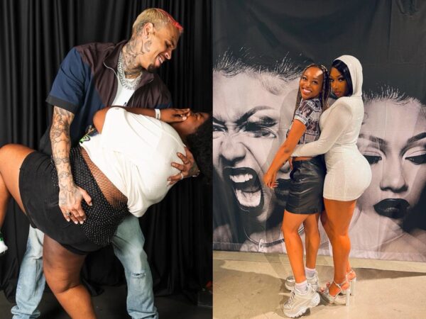 ‘Chris Brown Did it Better’: Chris Brown Reacts After His Fans Claim Megan Thee Stallion Copied Her Meet and Greet Idea from Him