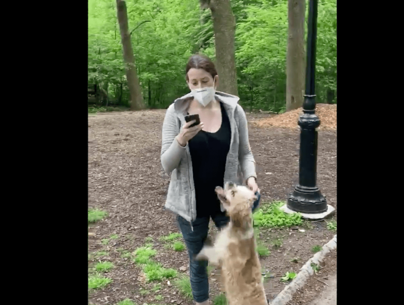 Amy ‘Central Park Karen’ Cooper Loses Lawsuit Against Ex-Employer Who Fired Her Over Viral Video