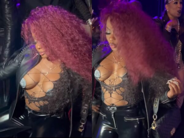 ‘How Did Phaedra Go from Southern Belle, Lawyer of Two Boys to Nipple Pasties’: Phaedra Parks Receives Critiques for Birthday Outfit