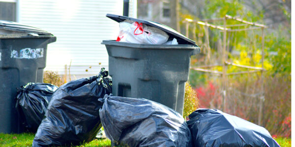 ‘You Ought to be Ashamed of Yourself’: 82-Year-Old Black Woman Arrested in Alabama Over Late Payment of $77 Trash Bill