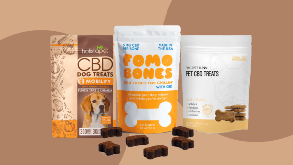 5 CBD Dog Treats That Really Work