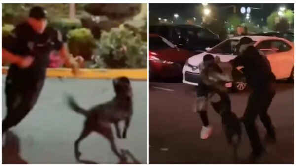 New Jersey Security Guard Pleads Guilty After Getting Reduced Charge for Commanding Security Dog to Repeatedly Attack a Black Man; NAACP Objects to Terms of Agreement