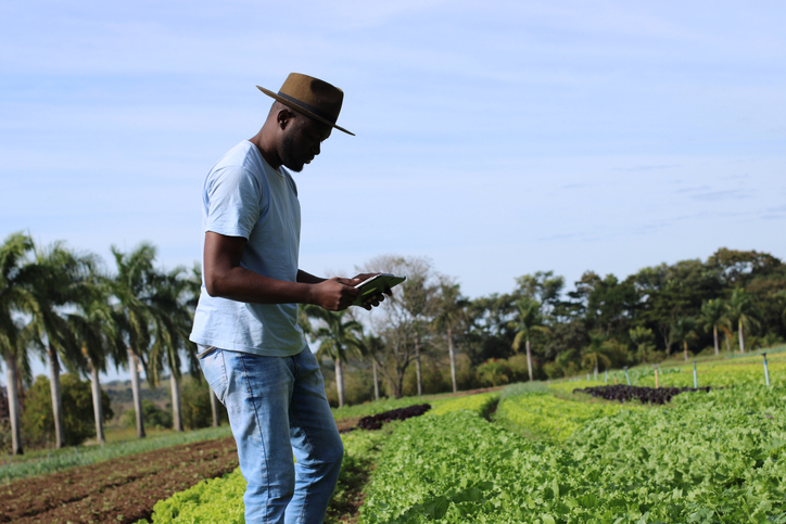 US Black Farmers Left Frustrated As Promises To Help Still Go Unanswered