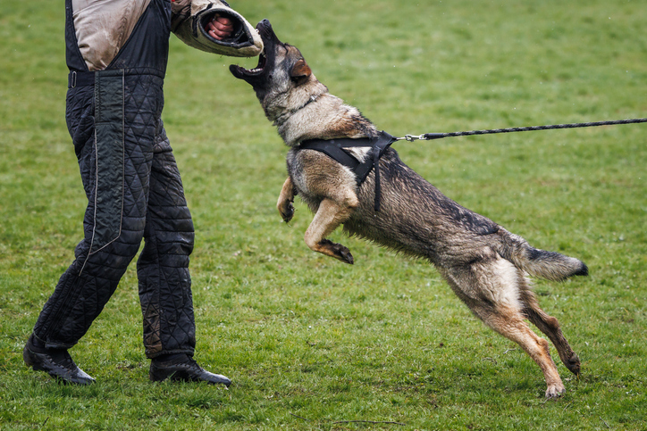 Ohio Cop Releases Dog On Black Man Who Had His Hands Up After Trooper Instructed Him Not To