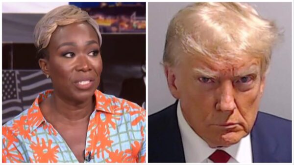 ‘Said What She Said’: Internet Trolls Try to Discredit Joy Reid After She Brings Up The Central Five and Calls Donald Trump ‘Racist’ During His Arrest