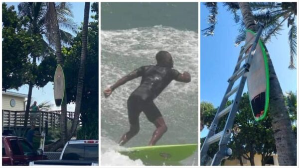 ‘Can’t Stand to See a Black Man In Their Waters’: Florida Surfer’s Board Nailed to Tree ‘Like a Lynching’ In Alleged Brazen Act of Racist Vandalism; Culprits Not Yet Found