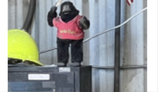 ‘This Is Trump Country’: Black Former Employee at Florida Waste Management Company Alleges Co-Workers Taunted with Him Stuffed Monkey, Used Racial Slur