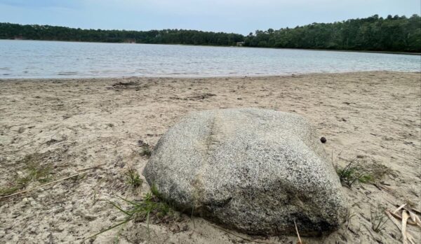 ‘Acts of Hatred and Violence: 14-Year-Old White Boy Tries to Drown Black Boy in Massachusetts Pond, Taunts Him by Calling Him ‘George Floyd,’ Faces Attempted Murder Charge