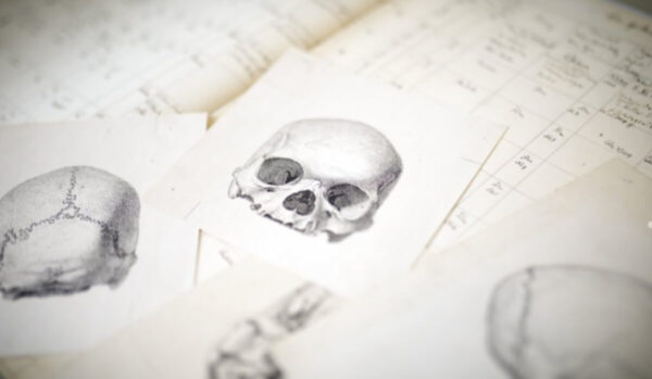 Germany-Based Museum Set to Return Skulls Stolen from African Colony ‘to the Countries of Origin.’ Researchers Were Also Able to Link the Remains to Living Relatives.