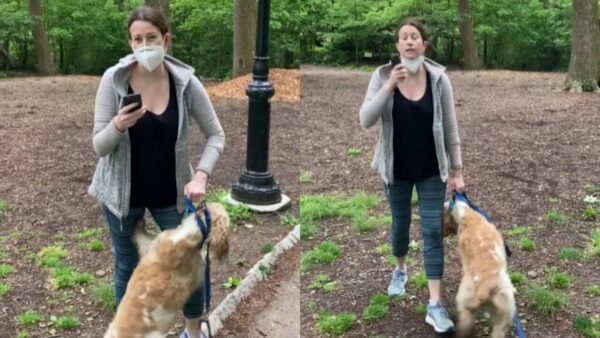 ‘I Just Felt Raw Fear’: ‘Central Park Karen’ Doubles Down In New Op-Ed on Claims Against Bird-Watcher, Says She Wasn’t Being Racist