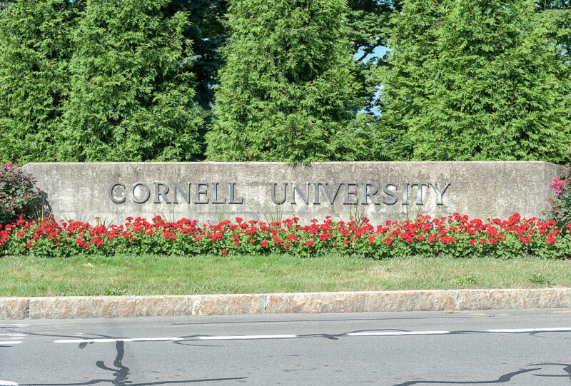 ‘BC He’s White’: Student With 4.6 GPA, 1460 SAT Rejected By Cornell University Over Race, Viral Video Claims