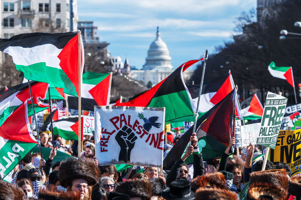 The March On Washington For Gaza From A Black Perspective