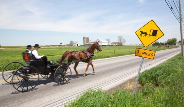 Woman Allegedly Allows Twin Sister to Take the Fall for Amish Buggy Crash In Minnesota That Killed Two Children: ‘There’s No Way They Would Ever Know the Difference’
