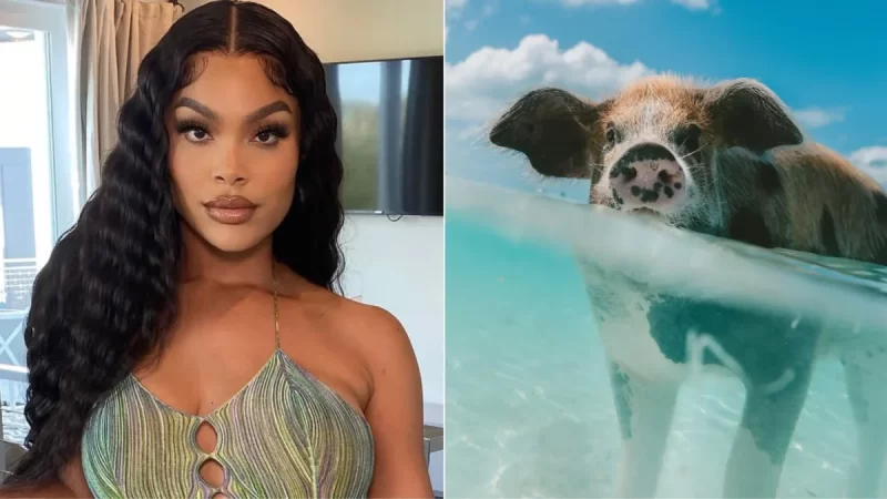 ‘Basketball Wives’ Star Mehgan James Raises Alarm About Popular Bahamas Beach After Model Friend Loses Leg to Flesh-Eating Bacteria