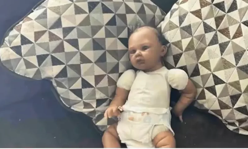 ‘I Feel Violated’: Minnesota Cops Peered Through Window at Doll on Couch, Falsely Claimed It Was Real Baby to Justify Illegally Breaking Into Black Family’s Home, Lawsuit Alleges