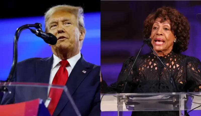 ‘Donald Trump Is a Pure Racist’: Maxine Waters Says Trump’s Vow to Fight Against ‘Anti-White’ Feeling If Elected Is a Call to His Supporters for a Civil War