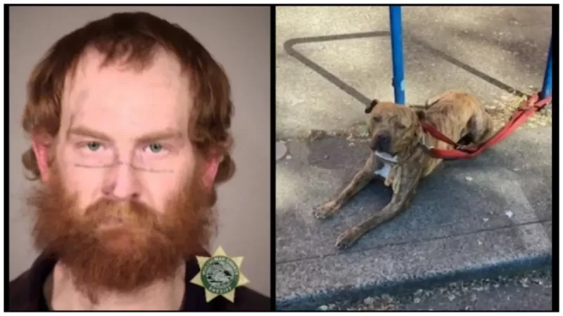 ‘Accepted Behavior’: Black Man Suffered ‘Significant’ Injuries After White Portland Man Called Him the N-Word, Then Ordered Pit Bull to Attack Him. Now, He Plans to Leave the City for Good